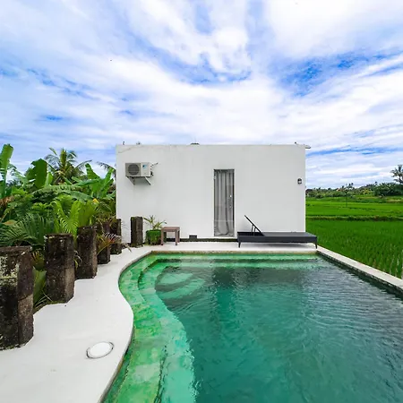 White Cubes Villas