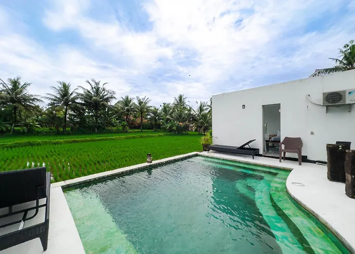 White Cubes * Ubud